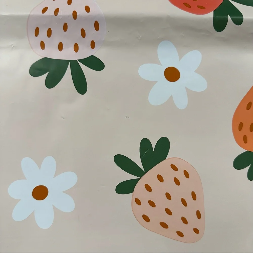 20 Count 14” x 17” Polymailers Assorted Designs